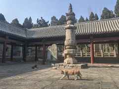 -四门塔风景区