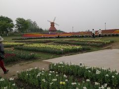 -杭州湾海上花田景区