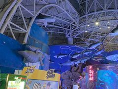 -烟台海昌鲸鲨海洋公园