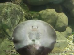 -苏州海洋馆