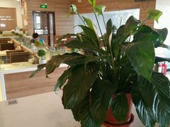 -嘉和一品粥(首经贸店)
