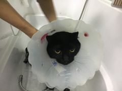 -宠颐生中康贝怡动物医院