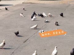 -筑艺咖啡