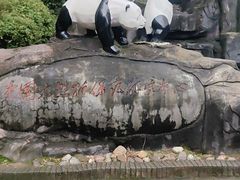 -都江堰中华大熊猫苑
