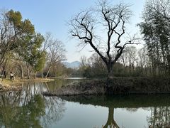 -西溪国家湿地公园