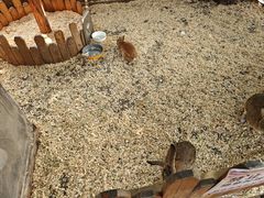 -HERRE·FARM 赫尔露营农场·团建聚会包场