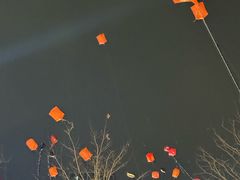 -红蕃干锅·脆皮香辣虾(南屏街金鹰店)