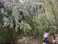 -庐山风景区花径公园