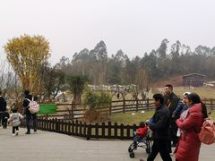 -黄龙溪欢乐田园