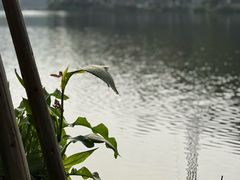 -重庆彩云湖湿地公园