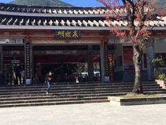 -蝴蝶泉公园