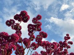 -白石龙音乐公园