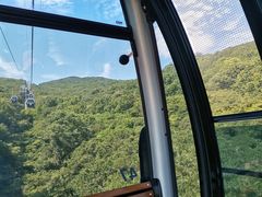 -普陀山风景区-佛顶山