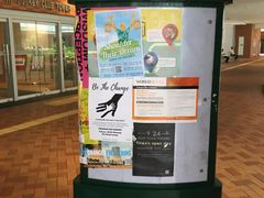 -香港大学