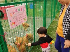 -同里湖度假村(二期店)