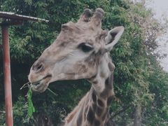 -西安秦岭野生动物园