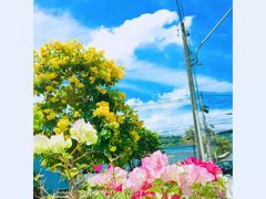 -普吉镇
