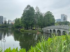 -四海公园(南山区)