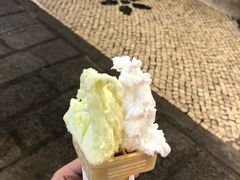 -柠檬车露(卖草地店)