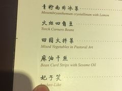 -西安国际创新人才交流中心•药浴温泉