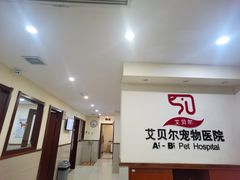 -艾贝尔宠物医院·24H转诊中心·肿瘤猫专科(江宁双龙店)