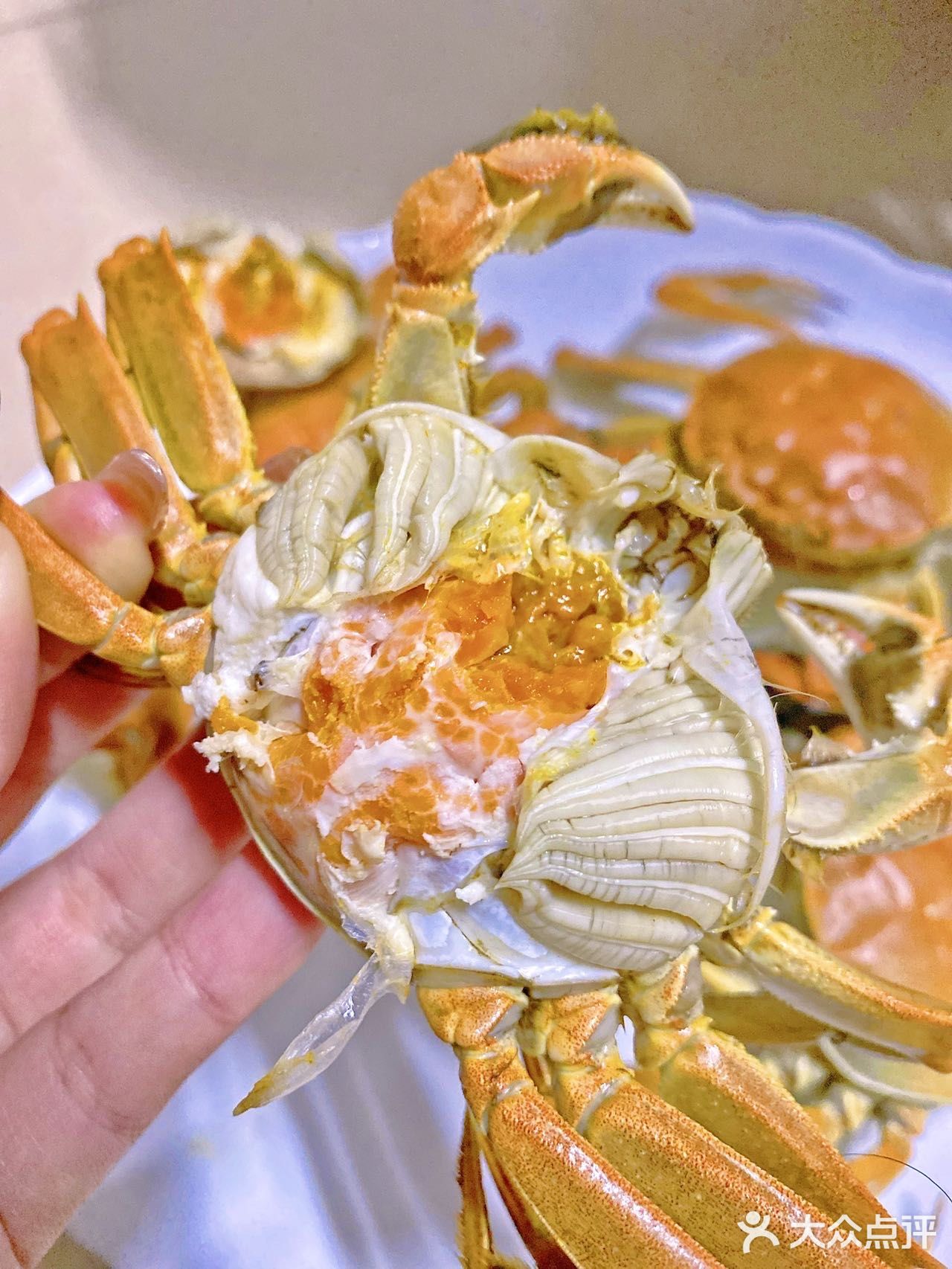 苏州｜排了3小时队才买到正宗阳澄湖大闸蟹‼️