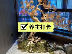 -刀马旦养生中心(时代店)