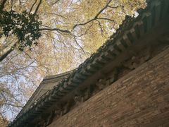 -灵谷景区