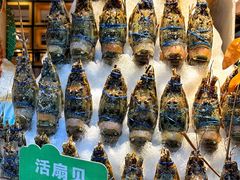 -亚马逊蒸汽活海鲜自助(LCM置汇旭辉广场店)