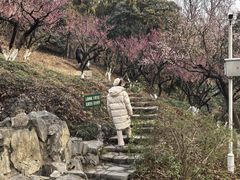 -九华山公园