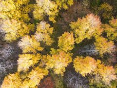 -玉渡山自然风景区