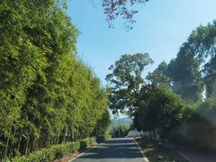 -莫干山风景区