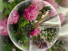 -陶然居·重庆菜(两江会馆店)