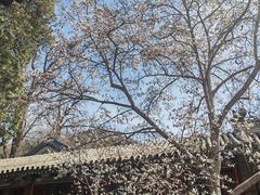 -潭柘寺景区