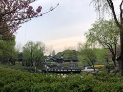 -日出青木