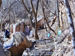 -大岭沟猕猴桃谷风景区