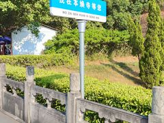 -三水森林公园