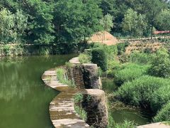 -九龙池景区