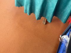 -古榕农庄·桑拿簸箕菜·招牌泥焗鸡(清远长隆店)