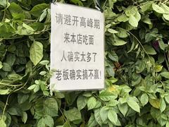 -左撇子私房面