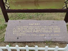 -微山湖红荷湿地景区