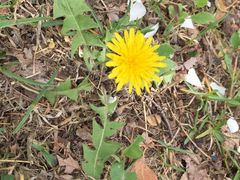 -长春公园(普阳街道)