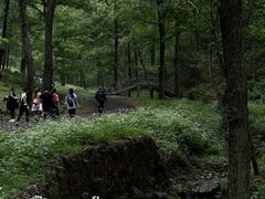 -老山国家森林公园
