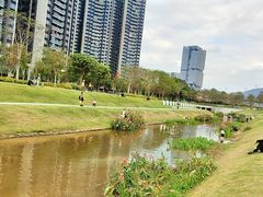 -光明小镇欢乐田园