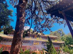 -潭柘寺景区