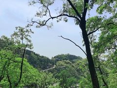 -泰山风景名胜区