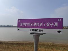 -梁子湖东篱老屋生态庄园