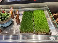 -魏铭鱼头捞饭(晋阳路店)