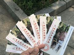 -南山植物园