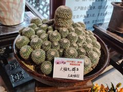 -钱王祠